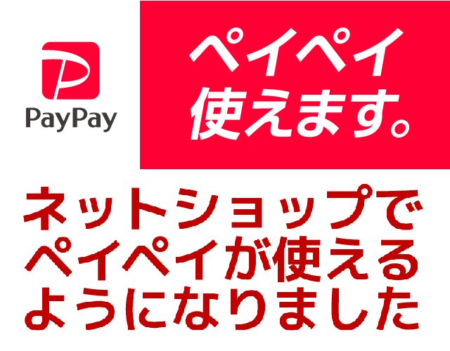 新しくpaypayオンラインに対応しました